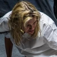 BWW Reviews: Arouet Gets Bleak with NINE and THE LONG ROAD