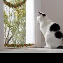 Pet Sitters International Encourages Pet Owners To Use Caution, Book...