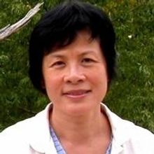 G.X. Chen Releases 'The Mystery of Moutai'