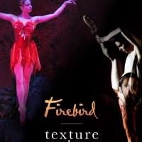 Festival Ballet Theatre to Bring FIREBIRD and TEXTURE OF TIME to Irvine Barclay…