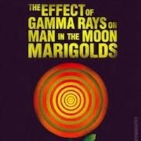 CPCC Theatre to Present 'GAMMA RAYS,' 9/27-10/6