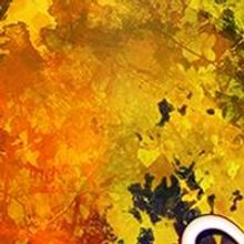 BWW Reviews: You Can't Help But Love AS YOU LIKE IT at Post5 Theatre