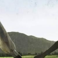 BWW Reviews: TRANSLATIONS, Rose Theatre Kingston, April 22 2014 Photo