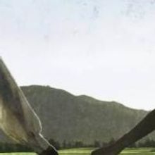 BWW Reviews: TRANSLATIONS, Rose Theatre Kingston, April 22 2014