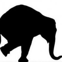 Stolen Elephant Theatre Presents Grae Cleugh's SCOTTISH WIDOWS, Now thru 24 May