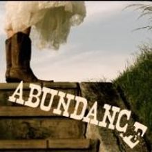 Designers Wilson Chin, Tracey Christensen and More Join Hartford Stage's ABUNDANCE Cr