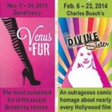 Stageworks Sizzles to Present VENUS IN FUR, 11/7-24