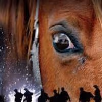 Tickets to WAR HORSE's Run at Marcus Center on Sale 10/16
