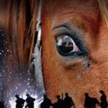 Tickets to WAR HORSE's Run at Marcus Center on Sale 10/16