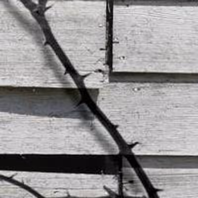 BWW Interviews: PORGY & BESS Actors Show the Heart of Milwaukee Theater