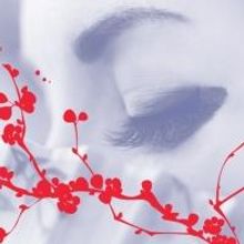 North Carolina Opera Reveals New Season - MADAMA BUTTERFLY, THE BARBER OF SEVILLE &…