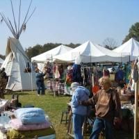 Cindy Collins, Vivian Pfankuch and More Set for Appalachian Potpourri of Artists…
