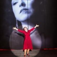 Sherri Edelen, Jamie Zemarel, Erin Gardiner & More Set for Everyman Theatre's VINO FE