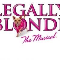 Florida Rep Announces the Opening of LEGALLY BLONDE, THE MUSICAL, 5/31