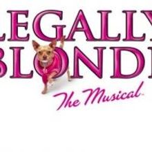 Florida Rep Announces the Opening of LEGALLY BLONDE, THE MUSICAL, 5/31
