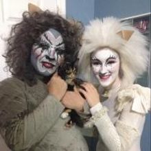 Broadway Palm's CATS Lends Helping Paw to ARC, Now thru 11/23