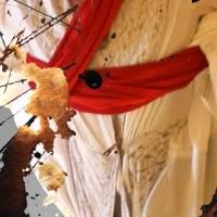 BWW Reviews: MEDEA, Rose Theatre, November 11 2013 Photo