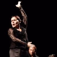 BWW Reviews: NOCHE FLAMENCA at Joe's Pub