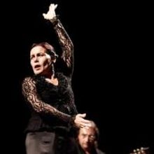 BWW Reviews: NOCHE FLAMENCA at Joe's Pub