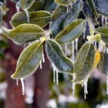 Nashville Theaters Do Battle With Winter Storm