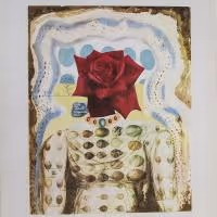 BWW Previews: DALI THE GOLDEN YEARS at the National Arts Club in NYC