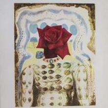 BWW Previews: DALI THE GOLDEN YEARS at the National Arts Club in NYC