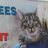 North Shore Animal League America Completes Largest National Cooperative Mobile…
