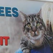 North Shore Animal League America Completes Largest National Cooperative Mobile…