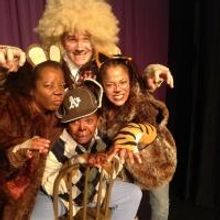 Columbia Children's Theatre to Present NiA Company's BR'ER RABBIT, 10/18-20