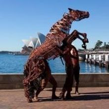 Photo Flash: WAR HORSE's Joey Visits the UK, US, Germany and Australia