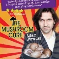 TCL Productions Brings THE MUSHROOM CURE to FringeNYC, Now thru 8/22