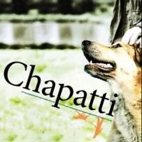 Northlight Theatre to Bring CHAPATTI to Galway Arts Festival, July 2014; Debuts in…