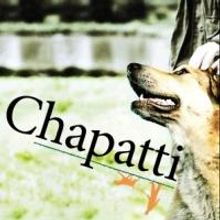 Northlight Theatre Brings CHAPATTI to Galway Arts Festival, July 2014; Debuts in Chic