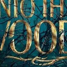 INTO THE WOODS von Stephen Sondheim endlich in den deutschen Kinos mit Starbesetzung