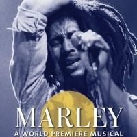 Mitchell Brunings Leads World Premiere Bob Marley Musical, Beginning Tonight at…
