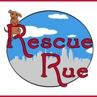 Four Original Productions Showcased in 2014 New York Children's Theater Festival…