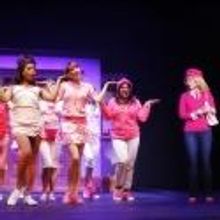 BWW Reviews: NC Theatre's LEGALLY BLONDE Charms Raleigh