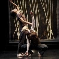 Photo Flash: First Look at Peggy Baker Dance Projects' STEREOPHONIC in Toronto