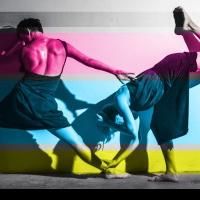 hcl and CDF partner on 'Cultural Conversations' about Dance and Dramaturgy on 5/9