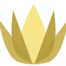 Open Stage to Honor Patty Kim, Tara Leo Auchey, Sharia Benn & Joy Dougherty as 'Women