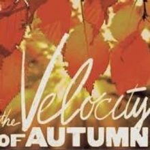 THE VELOCITY OF AUTUMN, OTHER DESERT CITIES & More Set for Chenango River Theatre's 2