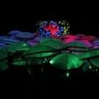 STAGE TUBE: Behind the Scenes of Pilobolus' UP: THE UMBRELLA PROJECT Video