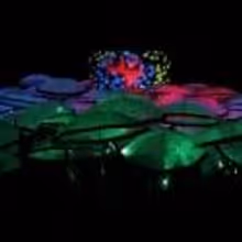 STAGE TUBE: Behind the Scenes of Pilobolus' UP: THE UMBRELLA PROJECT