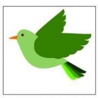 Join Bird Watching Buddies at Randall's Island Park, 4/27