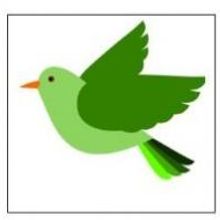 Join Bird Watching Buddies at Randall's Island Park Today