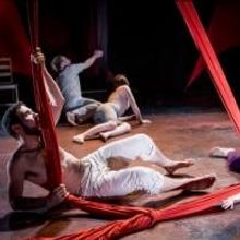 Photo Flash: First Look at Walkabout Theater's THE WILD at Steppenwolf