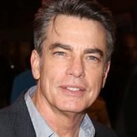 Broadway's Peter Gallagher Boards Fox Pilot DETOUR