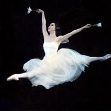 Northrop Announces Casting for American Ballet Theatre's GISELLE, 4/4-6