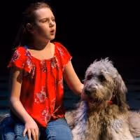 BWW Review: BECAUSE OF WINN DIXIE at Delaware Theatre Company