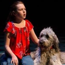 BWW Review: BECAUSE OF WINN DIXIE at Delaware Theatre Company